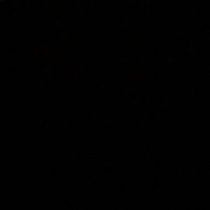 Meet your Posher, Roni